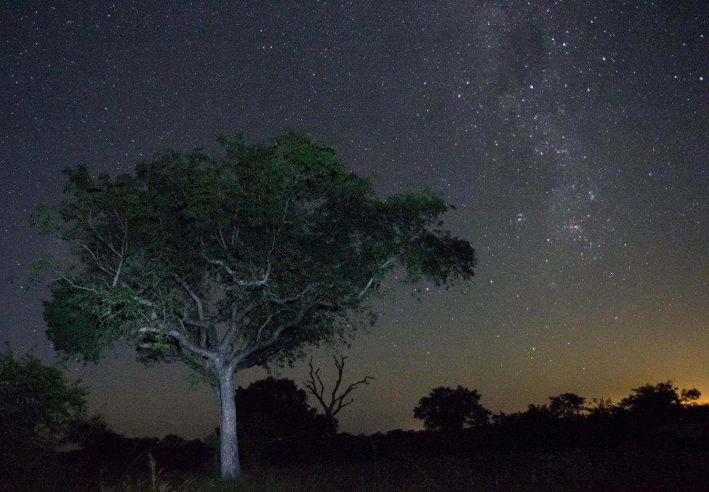 starry night sky